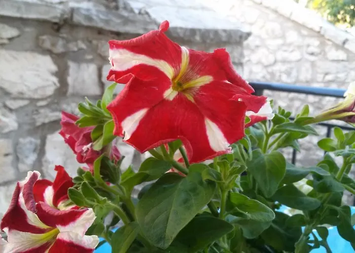 Apartman Porto Poros *